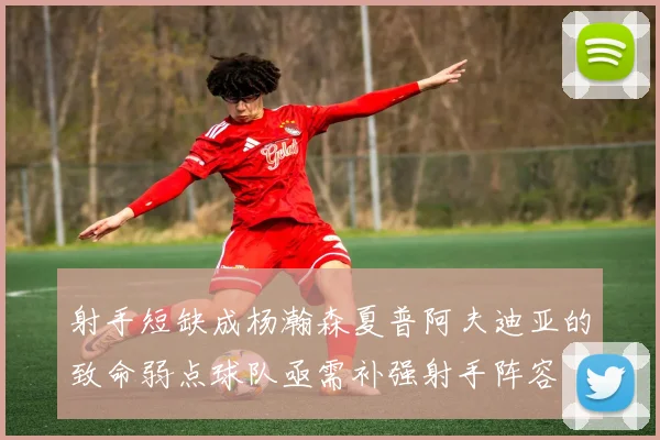 射手短缺成杨瀚森夏普阿夫迪亚的致命弱点球队亟需补强射手阵容
